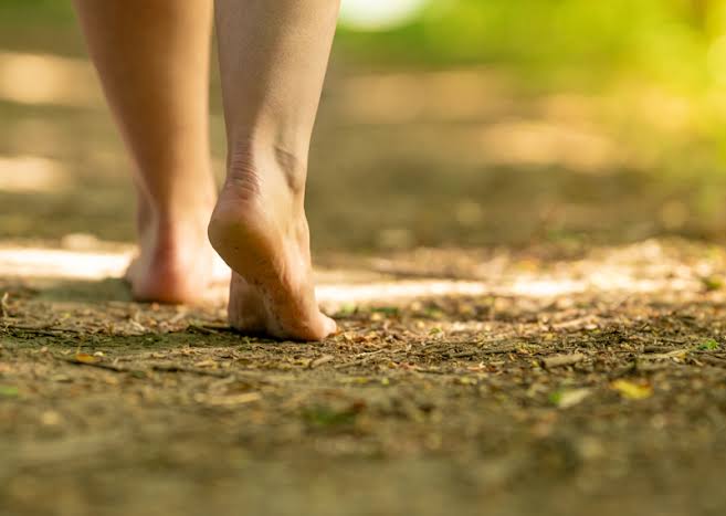 THE POWER OF GROUNDING:
A Complete History and
Guide to the Benefits of Grounding: The Therapeutic Benefits of Walking